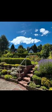 Foto - 3 Zimmer Einfamilienhaus in Detmold