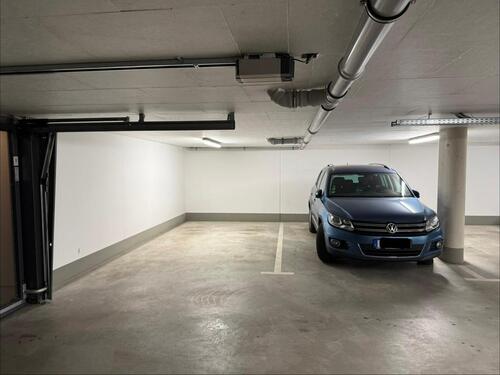 Foto - andere in Gifhorn