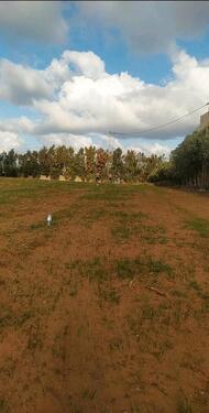 Foto - Baugrundstück Tunesien Haouaria Dar Allouch