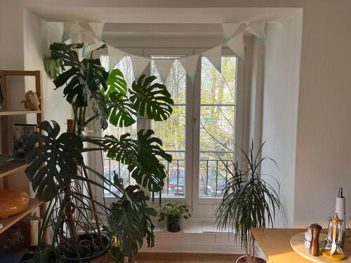 Foto - 2.5 Zimmer Etagenwohnung in Hamburg