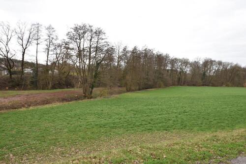 Foto - Etagenwohnung in Aschaffenburg zur Miete