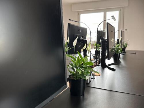 Foto - Voll ausgestattete Arbeitsplätze und Büros im Co-Working-Space