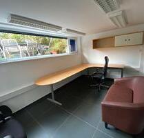 Büro, möbliert, an Katzenliebhaber zu vermieten - Köln Rodenkirchen