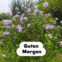 Foto - Grundstück in Kassel zur Miete