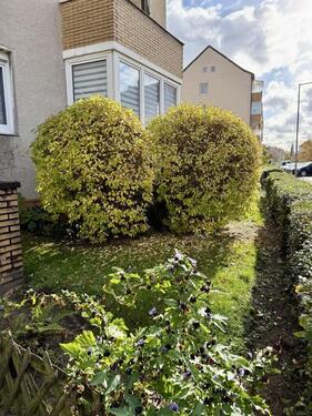 Foto - Etagenwohnung zur Miete in Hannover