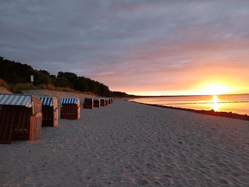 Foto - Kuschelige Ferienwohnung auf Rügen
