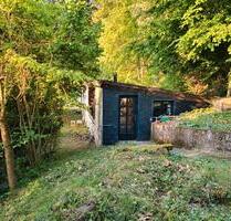 Naturpur: kleines Wohngebäude + 5ha Wald in 66701 Beckingen