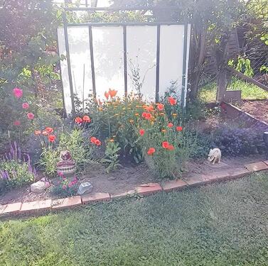 Foto - Mehrfamilienhaus, Wohnhaus in Fahrenbach zum Kaufen