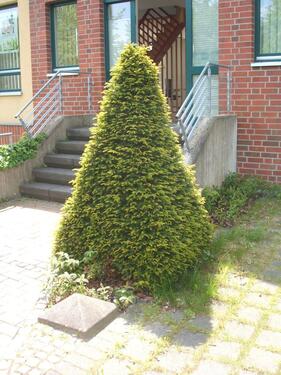 Foto - andere in Nettetal