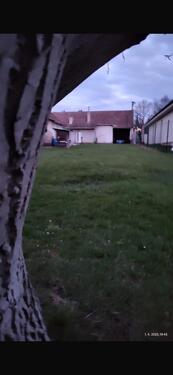 Foto - Haus in der Slowakei mit großem Grundstück in der Nähe von Wien