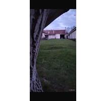 Haus in der Slowakei mit großem Grundstück in der Nähe von Wien - Frankfurt am Main Nied