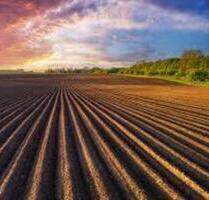 Ackerfläche zu verpachten 130 ha - Eldetal