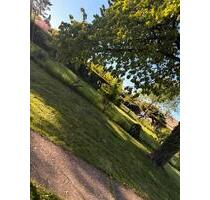 Schrebergarten - 220,00&nbsp;EUR Kaltmiete, ca.&nbsp; 0,00&nbsp;m&sup2; in Düren (PLZ: 52353) Mariaweiler-Hoven