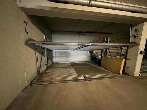 Foto - andere in Dresden