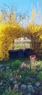 Foto - Grundst&uuml;ck in Forst (Lausitz) zur Miete