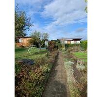 TOP! großer GEPFLEGTER Kleingarten Schrebergarten abzugeben - Chemnitz Helbersdorf