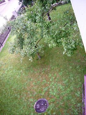 Foto - großes Baugrundstück im Altmühltal Beilngries super Lage