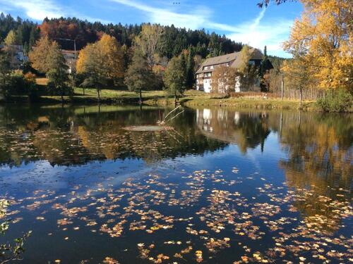 Foto - Ferienwohnung im Südschwarzwald für 120.000 Euro zu verkaufen