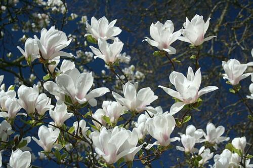 Foto - 2 Zimmer Wohnung 74 qm in Ebersberg