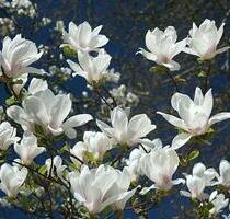 2 Zimmer Wohnung 74 qm in Ebersberg