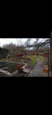 Foto - Wunderschöner Schrebergarten abzugeben