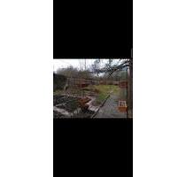 Wunderschöner Schrebergarten abzugeben - Neubrandenburg