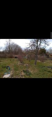 Foto - Grundst&uuml;ck zur Miete in Neubrandenburg