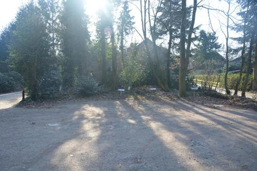 Foto - andere in Oldenburg