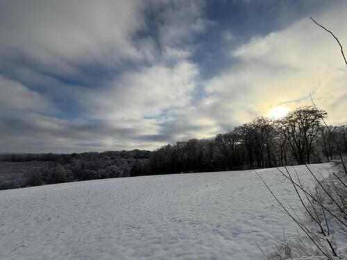Foto - 6 Zimmer Einfamilienhaus zur Miete in Odenthal