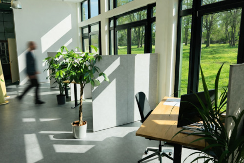 Foto - andere in Reinfeld (Holstein) zur Miete