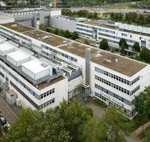 Renoviertes Büro in Düsseldorf – Lichtdurchflutet & 247 Zugang ab sofort