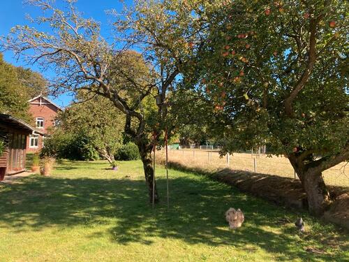 Foto - andere in Süderhastedt