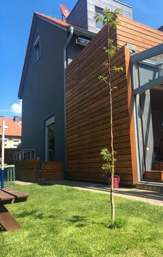 Foto - Modernes Reiheneckhaus in Münster St. Mauritz