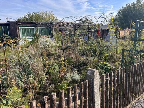 Foto - Kleingarten mit großer Laube - günstiger für Studenten und Famili