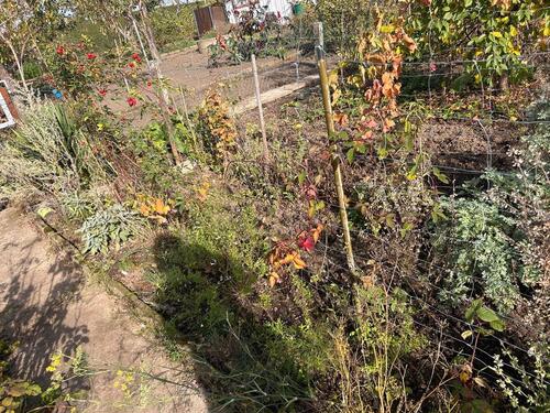Foto - Grundstück in Halle (Saale)
