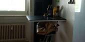 Foto - Etagenwohnung in Ennepetal zum Kaufen