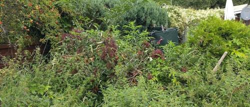 Foto - Grundstück in Thale