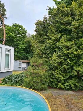 Foto - Einfamilienhaus in Falkensee zum Kaufen