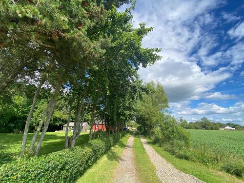 Foto - 7 Zimmer Bauernhaus, Landhaus zum Kaufen in Reinheim