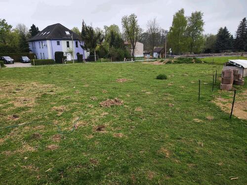 Foto - 10 Zimmer Bauernhaus, Landhaus in Roßwein