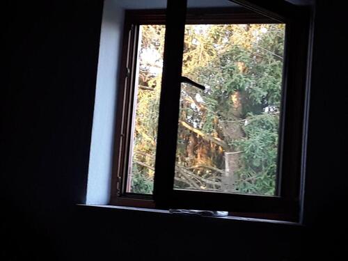 Foto - Einfamilienhaus in Walkertshofen zum Kaufen