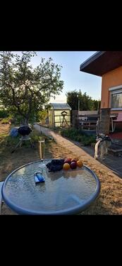 Foto - Grundst&uuml;ck zur Miete in Bitterfeld-Wolfen