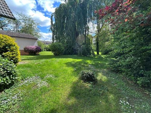 Foto - Einfamilienhaus in Korbach zur Miete