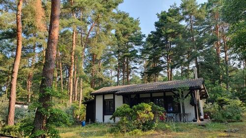 Foto - Ferienhaus nahe Berlin Südberliner Seenplatte für 2 Personen
