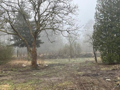 Foto - wunderschöne neue gr. 2-R-Wg. m. Terrasse am Drömling in d. Natur