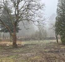 wunderschöne neue gr. 2-R-Wg. m. Terrasse am Drömling in d. Natur - Gardelegen Dannefeld