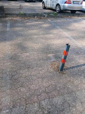Foto - andere in Rheda-Wiedenbrück