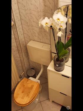 Foto - Etagenwohnung in Berlin