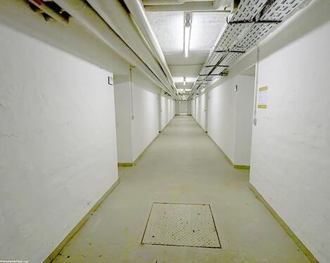 Foto - andere in Dresden