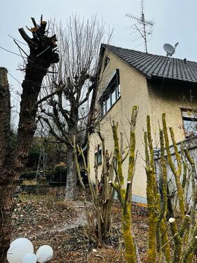 Foto - 8 Zimmer Einfamilienhaus in Theilheim